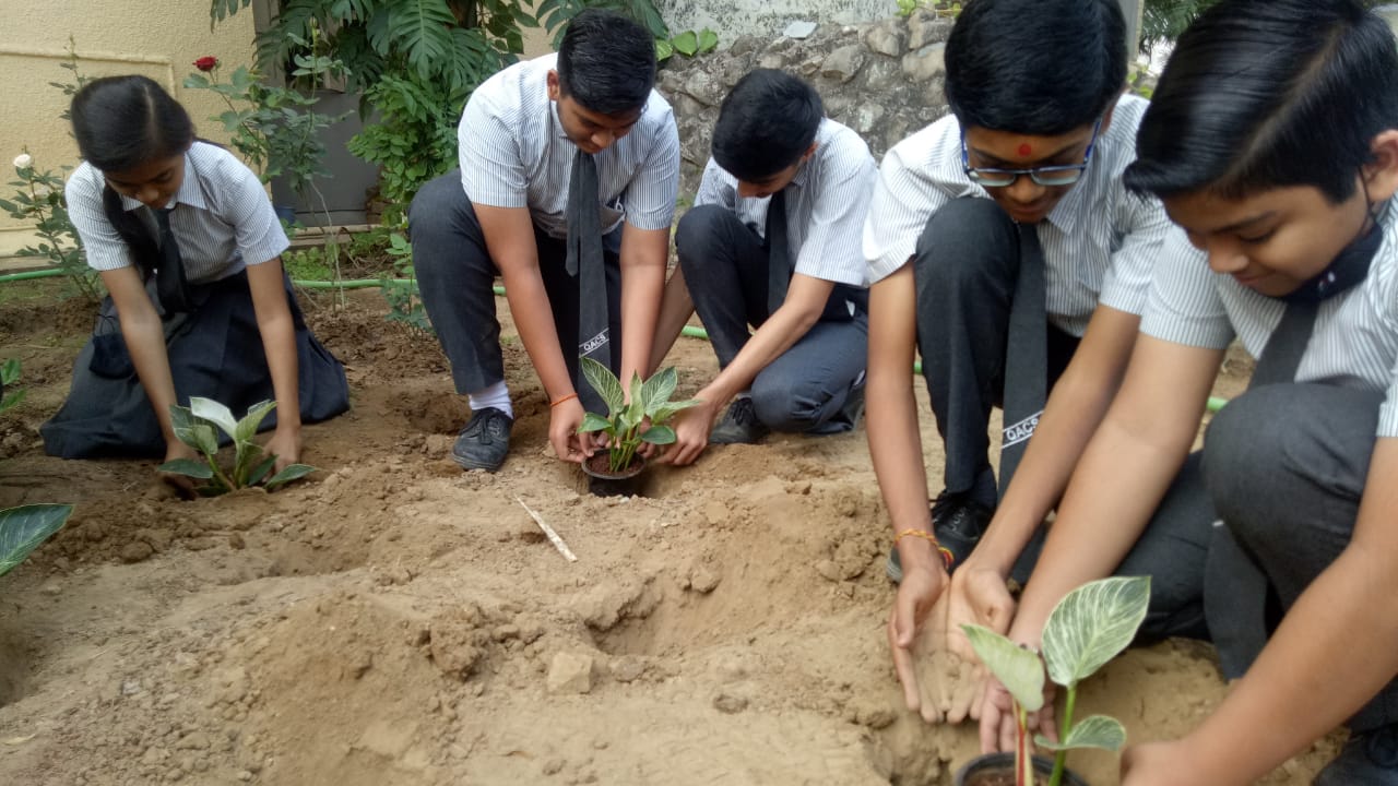 STD 9 Supw Plantation